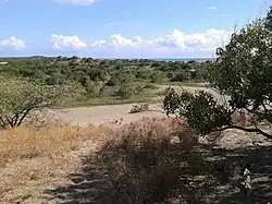 Paisaje de Las Dunas