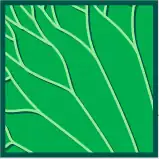 Hoja de venación dicotómica.