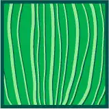 Hoja de venación paralela (faltan las venillas transversas).