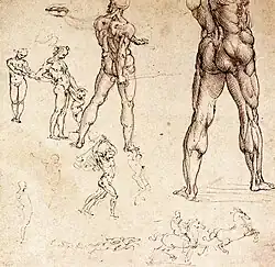 Estudio de anatomía masculina, de Leonardo da Vinci.