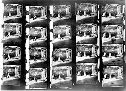 Roundhay, 20 cuadros originales de 1888 del Museo Nacional de Ciencias, Londres, 1931 (cortesía de NMPFT, Bradford).