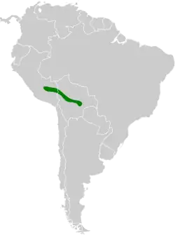 Distribución geográfica del orejero ventriblanco.