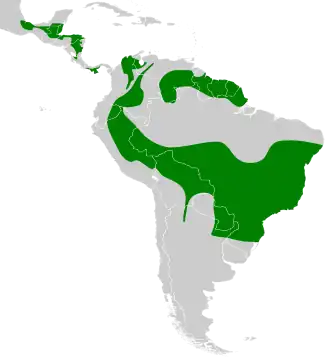 Distribución geográfica del orejero coronipardo.
