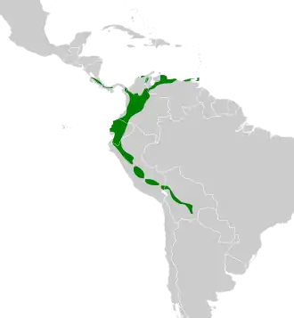 Distribución geográfica del orejero coronigrís (incluyendo L. albidiventer).