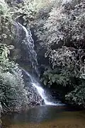 Una pequeña cascada en Leura
