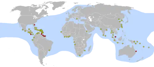 Distribución de D. coriacea[cita requerida]