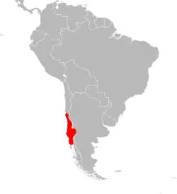 En rojo, la distribución de la lagartija esbelta.