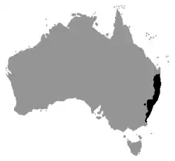 Distribución de Litoria dentata.