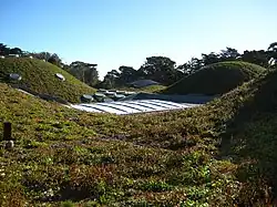 Cubierta vegetal del California Academy of Sciences, museo y lugar de investigación en San Francisco (California).