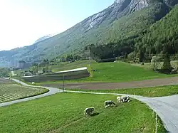 Loen y el Hotel Alexandra al fondo