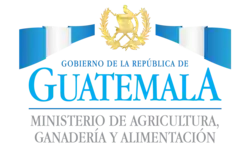 Logotipo durante la presidencia de Jimmy Morales (2016-2020)