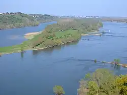 La isla de Neuve desde el paseo de Champalud a Champtoceaux.