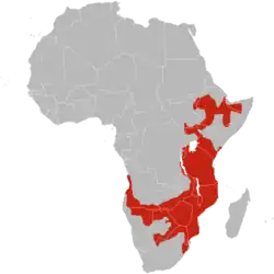 Distribución de la viuda del paraíso