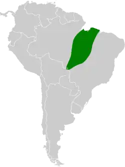 Distribución geográfica de la coqueta moteada.