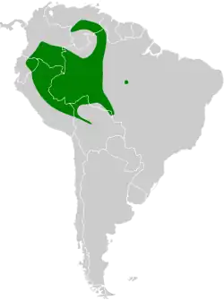 Distribución geográfica de la coqueta verde norteña.