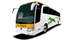 Los Galgos servicio económico.