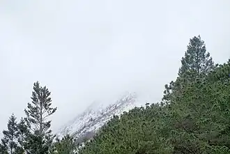 Sierra de la Marta vista desde el fraccionamiento Los Oyameles