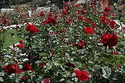 Fuente del Ángel Caído