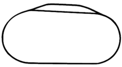 Charlotte Motor Speedway