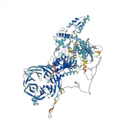 Imagen de la proteína LRRK1, extraída de AlphaFold.
