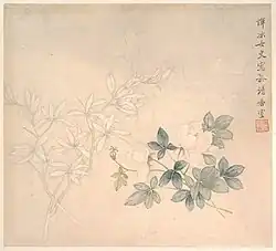 Estudio de flor (花卉圖), Museo Metropolitano de Arte