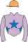 Horse racing silks