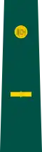 Insignia de mayor del Ejército.