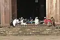 Una madrasa en Taj-ul-Masjid.