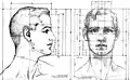 Dibujo de Avard Fairbanks de las proporciones de la cabeza y el cuello masculinos, 1936.