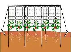 malla tutora tensada con estacas