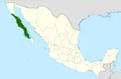 Cochemiea hutchisoniana