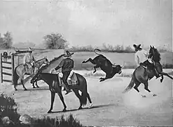 Ejecutando la mangana.