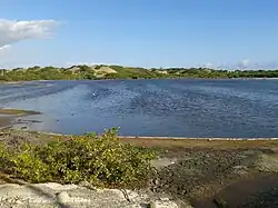 Laguna y Manglares de las Dunas de Baní