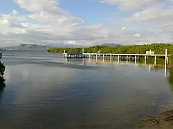 Manglares de la Bahía