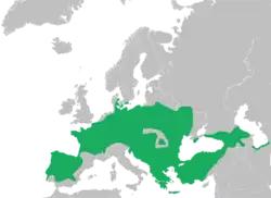 Distribución según lo definido por la UICN en 2009. Algunas poblaciones (Península Ibérica, partes de Europa del Este, Turquía y las regiones del Mar Negro y Mar Caspio) ahora se reconocen como especies separadas