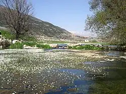 Aammiq Marsh en primavera