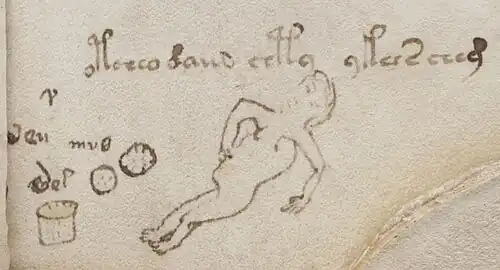 Marginalia en f66r. La persona dibujada parece alguien que está al borde de la muerte o muy enfermo.