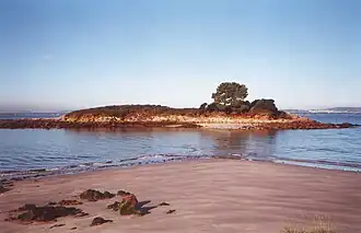 Playa e Isla del Santo
