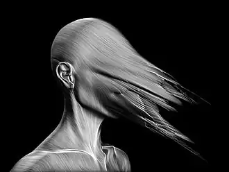 Marina Núñez. Sin título (monstruos), 2010. Infografía sobre papel.