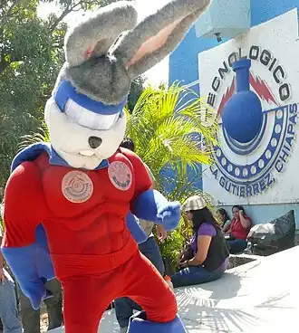 El Conejo de cola de algodón es la mascota oficial del ITTG.