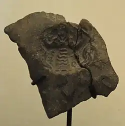 Maestro de animales, Susa I (4200-3800 a.C.), Museo del Louvre
