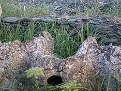 Fosa de almacenamiento de carne