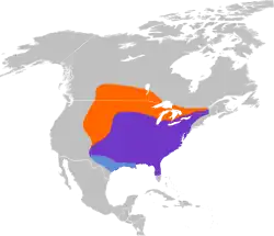 Distribución del carpintero de cabeza roja (púrpura: residente todo el año; naranja: zona de cría; azul claro: no reproductivo).