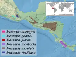 Distribución de otras especies del género Mesaspis, sinónimo de Abronia.