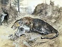 Mesonyx (Mesonychia)