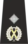 Metropolitan Police Deputy Assistant Commissioner of the Metropolis epaulette