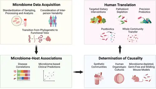 Microbioma humano: adquisición, análisis y caracterización. La madurez del campo ahora va desde la investigación descriptiva que destaca asociaciones, correlaciones y predicciones, hacia la exploración de la causalidad y los conocimientos moleculares.