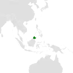 Distribución geográfica del falconete de Borneo.