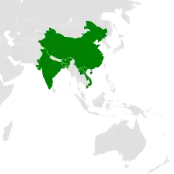 Distribución geográfica del falconete pío.