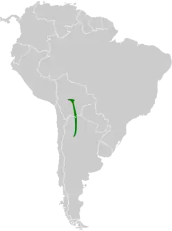Distribución geográfica del colibrí de Burmeister